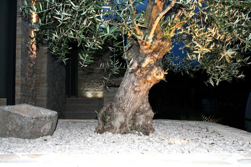Apartmán Olive Charm Umag Exteriér fotografie